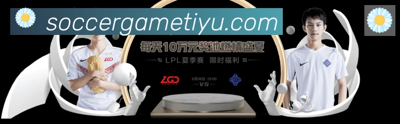 奖项证书